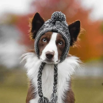 Autumn and Winter Knitted Wool Warm Windproof Dog Hat, Pet Headwear, French Bulldog, Pet Accessories Шапочка Для Собак
