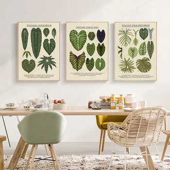 Мультяшные научно-популярные плакаты с растениями, листьями филодендронов и антуриумов, печать на холсте, живопись, украшение дома