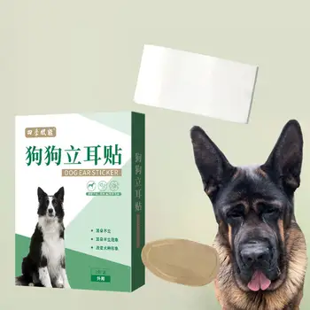Наклейки-подставки для ушей собак, корректирующие положение ушей домашних животных для Добермана